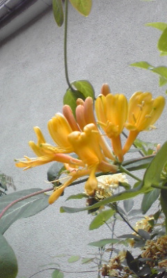 e0054290_021572.jpg