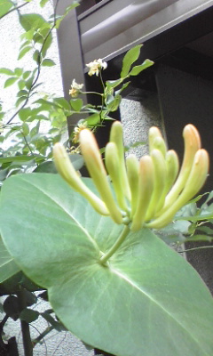 e0054290_021580.jpg