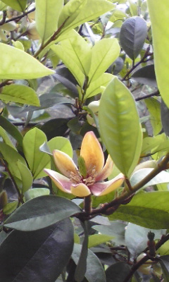 e0054290_021585.jpg