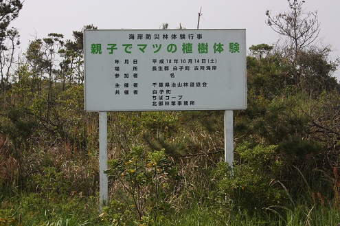 b0107691_2130879.jpg