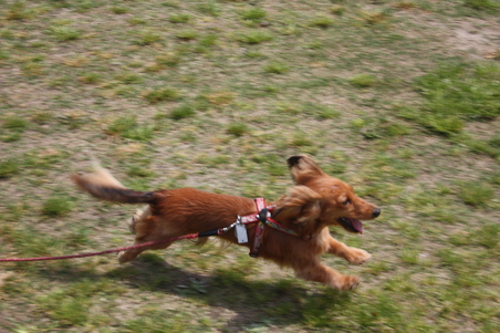 b0107691_2140076.jpg