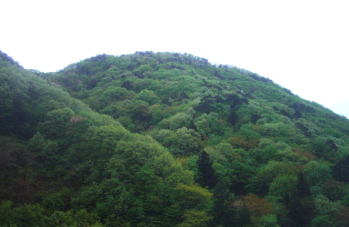 b0099994_6113616.jpg