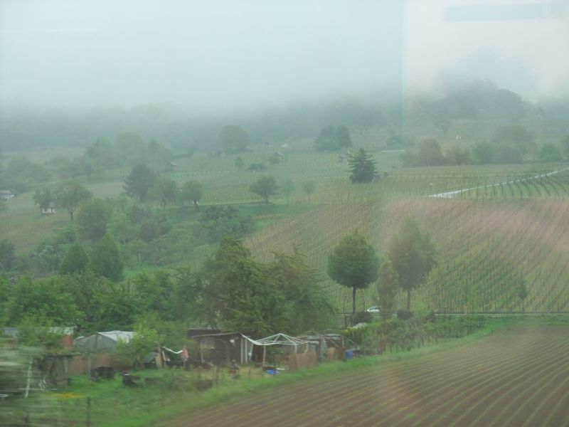 d0122295_1834951.jpg