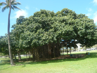 c0187898_19561126.jpg