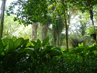 c0187898_20104591.jpg