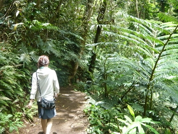 c0187898_20111496.jpg