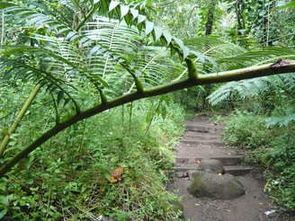 c0187898_20131227.jpg