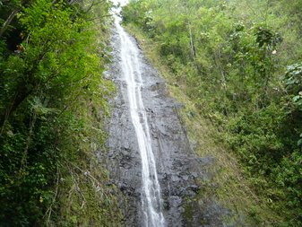 c0187898_20135923.jpg