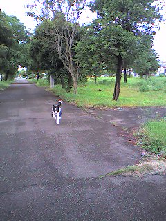a0065800_2152768.jpg
