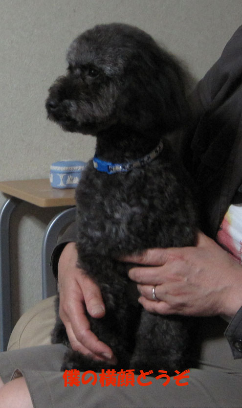 e0013900_1137650.jpg