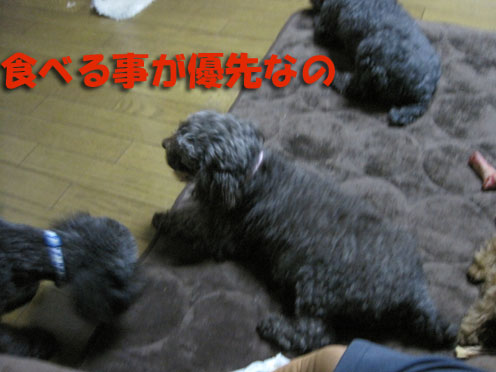 e0013900_11494984.jpg