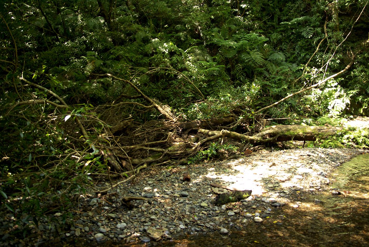 b0174905_5545645.jpg