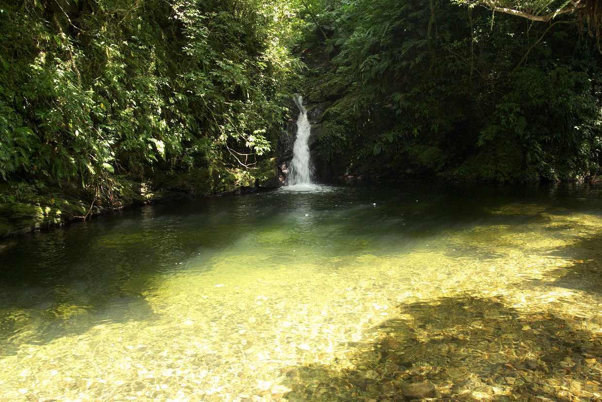 b0174905_5593245.jpg