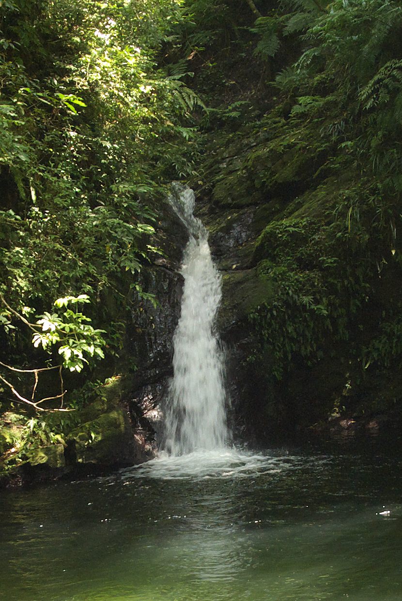 b0174905_559353.jpg