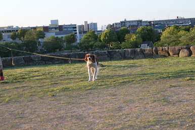 a0147507_20373566.jpg