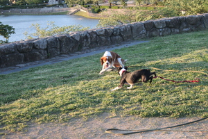 a0147507_20431065.jpg