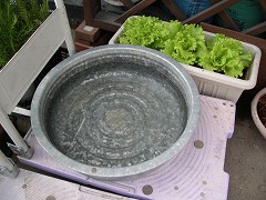 c0190010_21293641.jpg