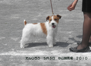 c0157412_20333539.jpg