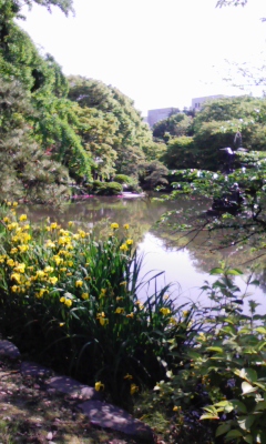 e0009714_8101011.jpg