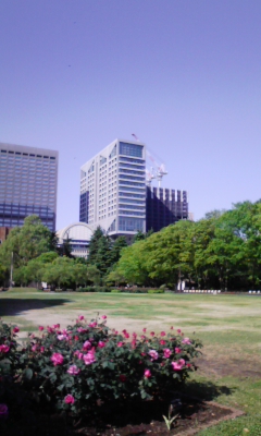 e0009714_8101073.jpg