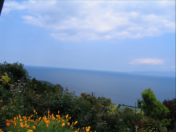 c0219815_2244419.jpg