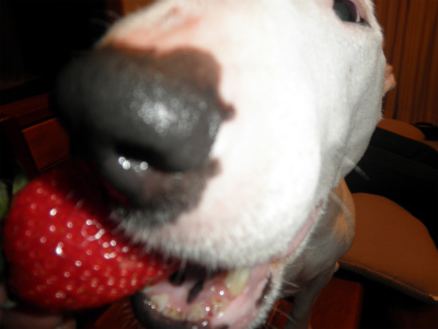 e0121418_0532571.jpg