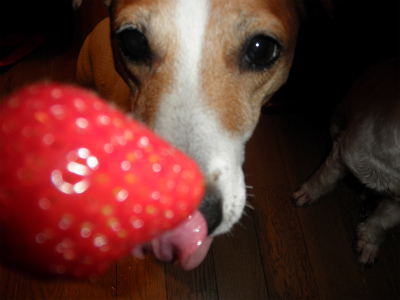 e0121418_0533827.jpg