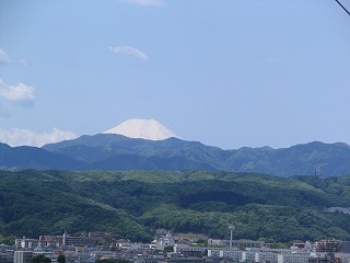 d0140422_221182.jpg