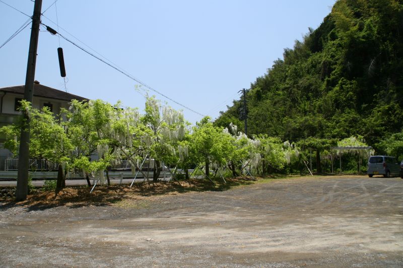 e0033229_6365670.jpg