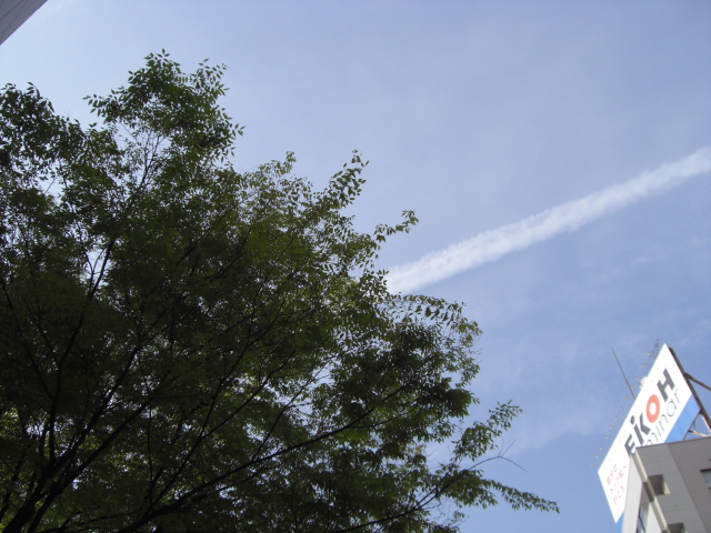 e0081334_281617.jpg