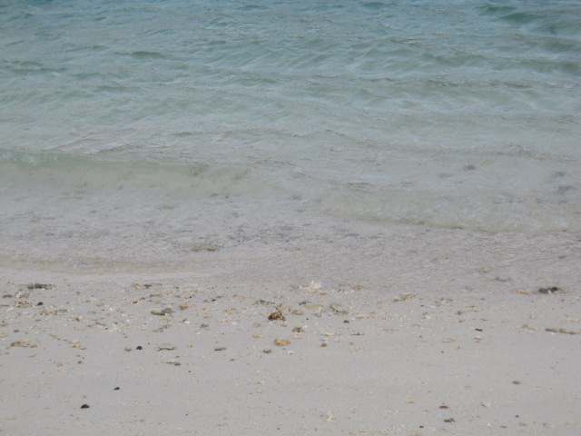 d0088735_18305417.jpg