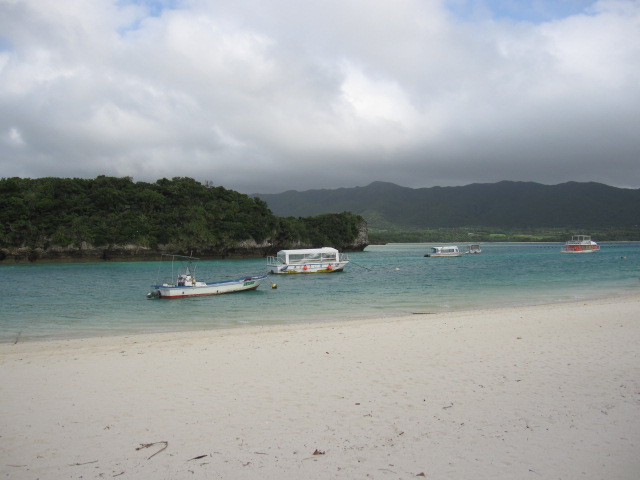d0088735_1831353.jpg
