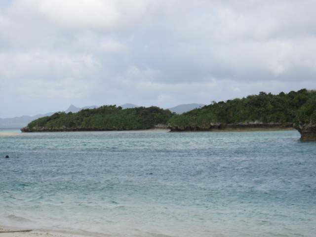 d0088735_18315955.jpg