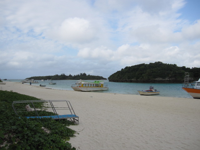 d0088735_1832339.jpg