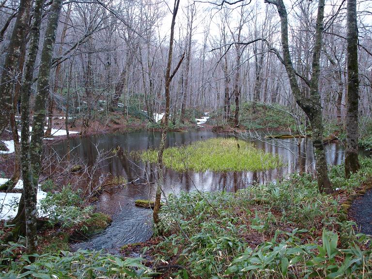 c0011342_23363379.jpg