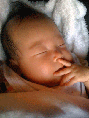 b0037160_13121568.gif