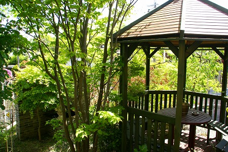 d0083761_22131775.jpg
