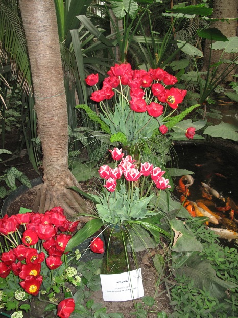 a0063364_23222855.jpg