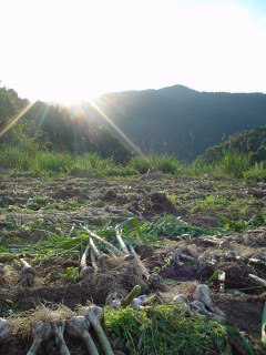 f0055264_2122469.jpg