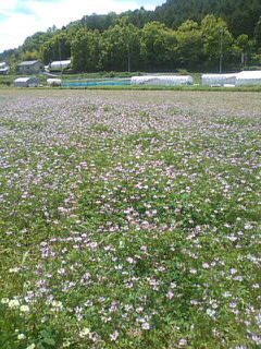 f0061067_23134828.jpg