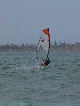 c0102268_175156.jpg
