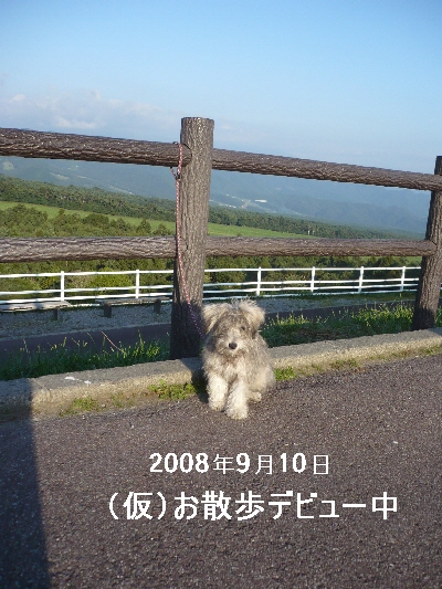 f0203369_22472743.jpg