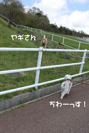 f0203369_2247941.jpg