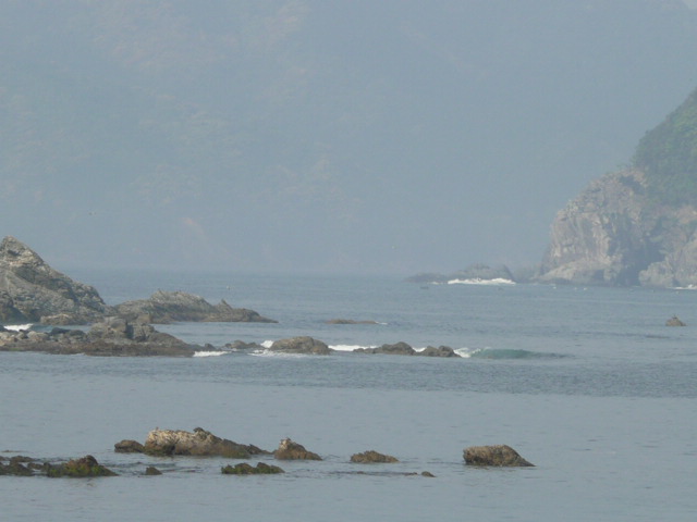 a0154870_17354353.jpg