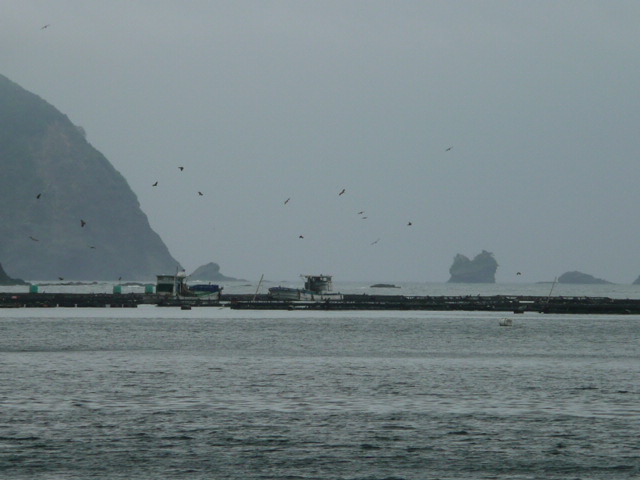 a0154870_18231269.jpg