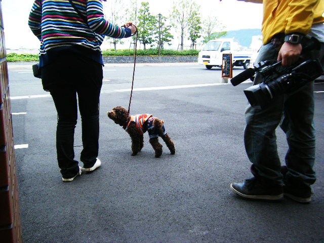 f0207970_20402723.jpg