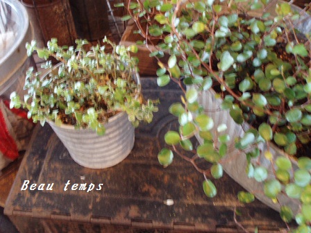 c0214272_022266.jpg