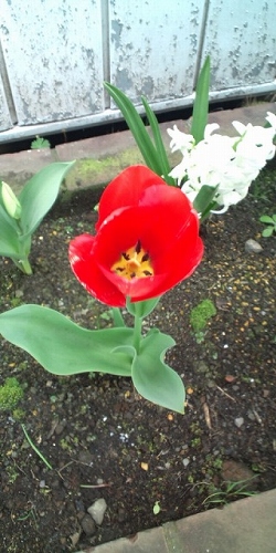 e0004173_17552142.jpg