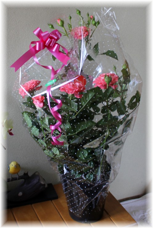 f0003174_1303512.jpg