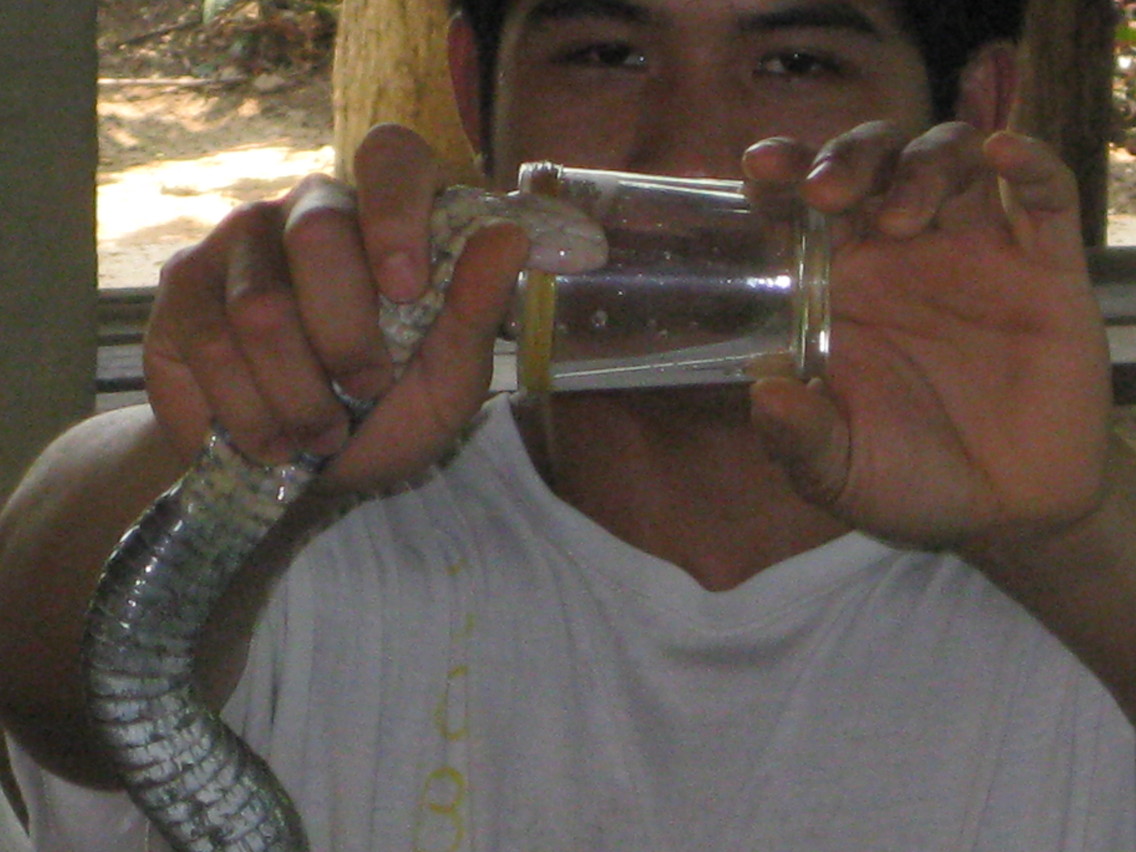 d0144077_2213230.jpg